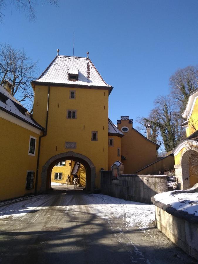 Gaestewohnung Schlossblick Grödig Exterior foto