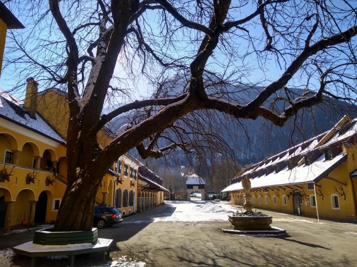 Gaestewohnung Schlossblick Grödig Exterior foto
